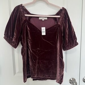 NWT Loft Velvet Top